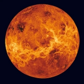 Venu�e